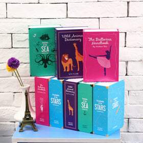 Story Book Secret Safe